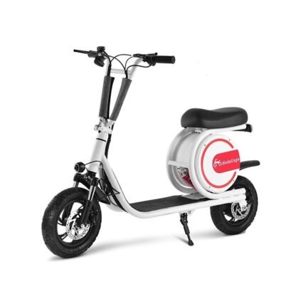 12” Foldable Electric Bike UAE [36V 350W]