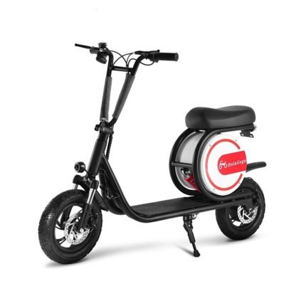 12” Foldable Electric Bike UAE [36V 350W]